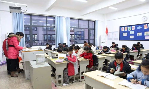 課后延時服務免費化 深圳模式的推廣路徑與時間預期